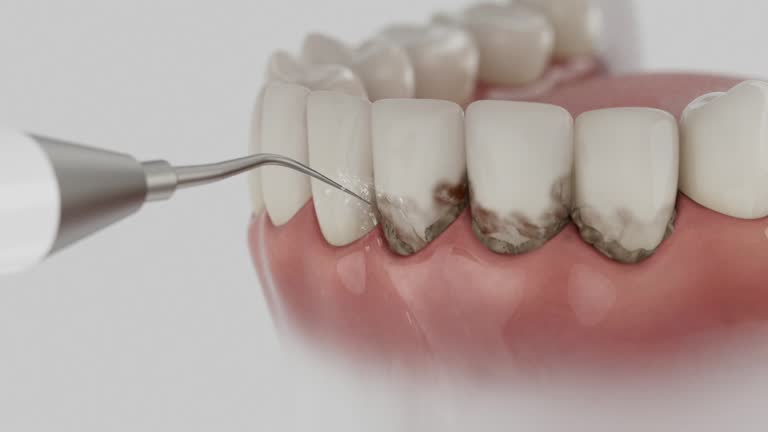 Reliable Dental contractor in Browns Lake, WI by Dentist Open Now